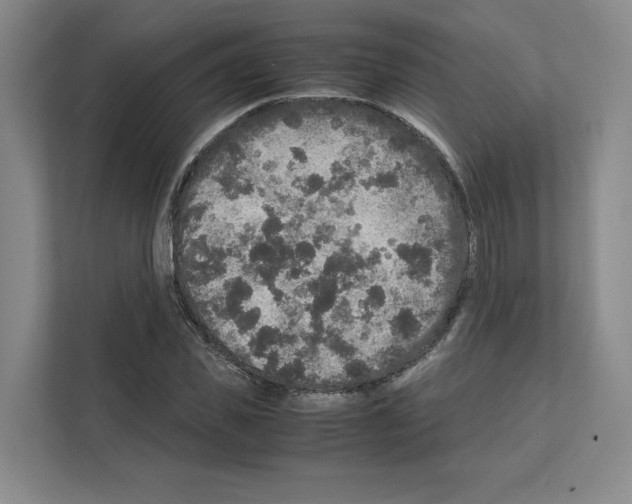 X0000111810925200909031427