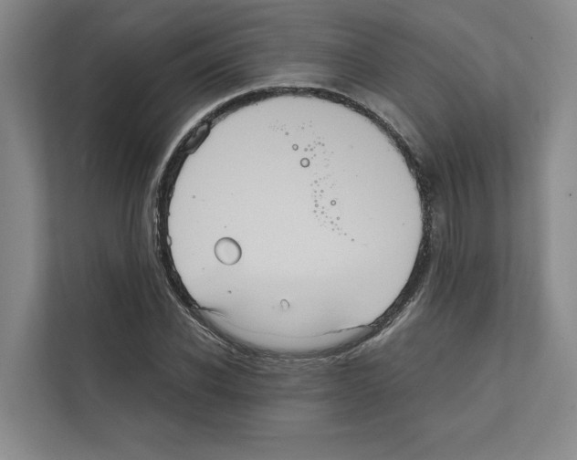 X0000111810926200909031427