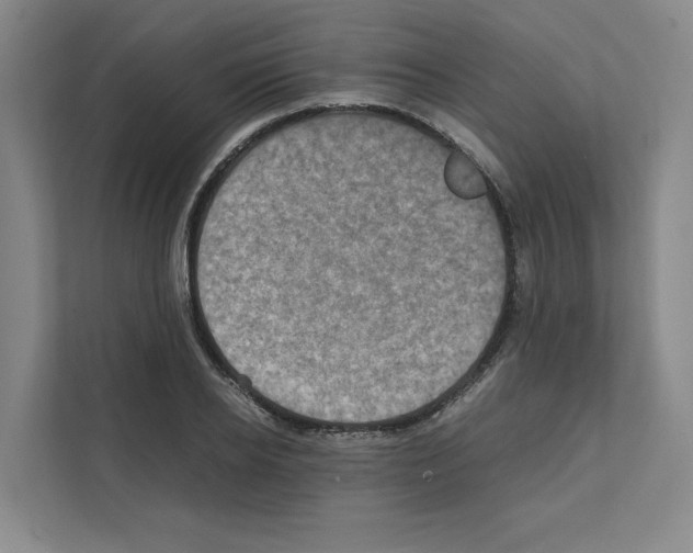 X0000111810934200909031427