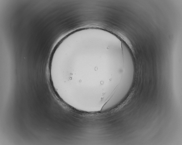 X0000111810936200909031427