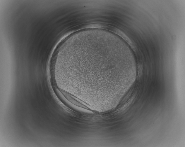 X0000111810939200909031427