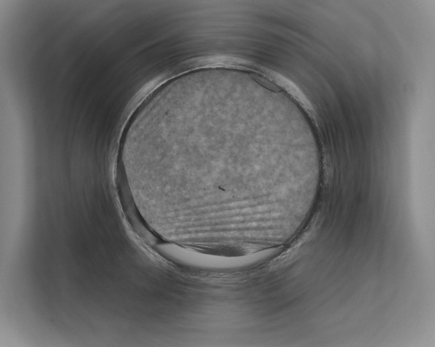 X0000111810946200909031427