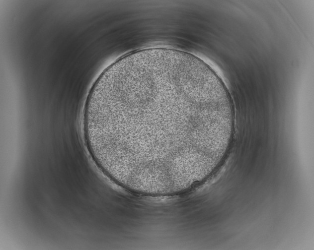 X0000111810949200909031427