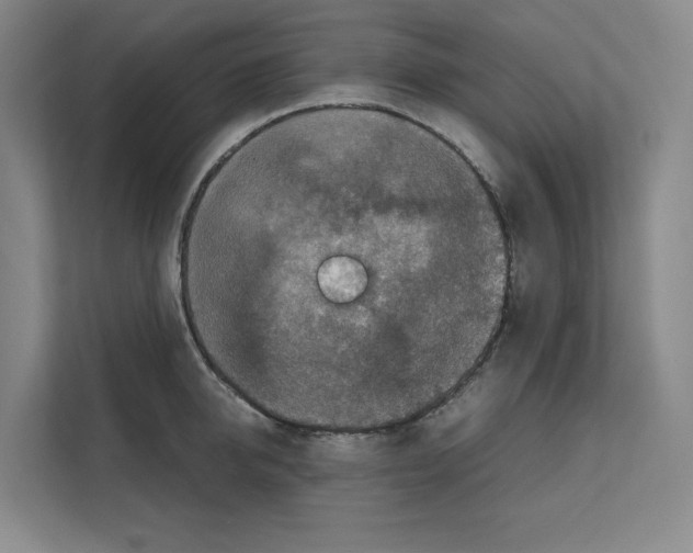 X0000111810950200909031427