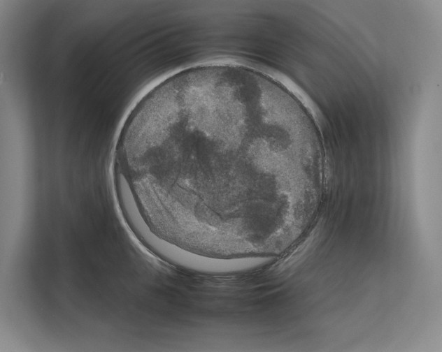 X0000111810951200909031427