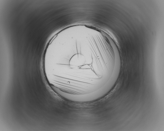 X0000111810952200909031427