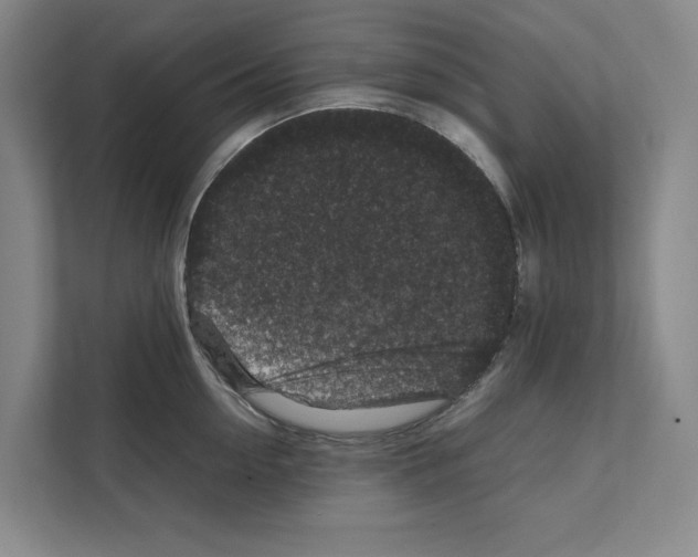 X0000111810954200909031427