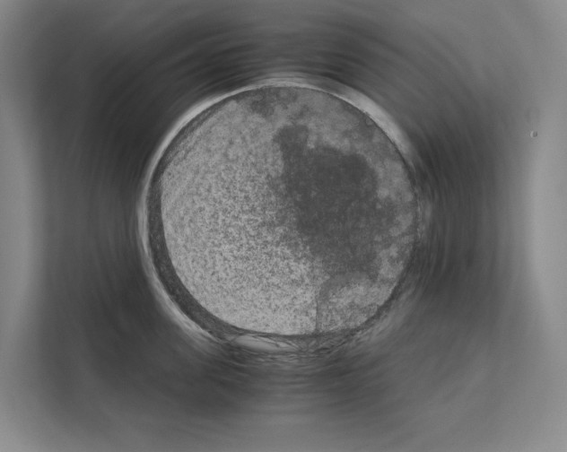 X0000111810955200909031428