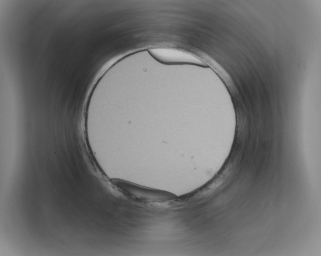 X0000111810956200909031428