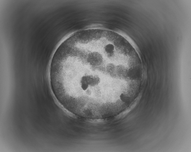 X0000111810957200909031428