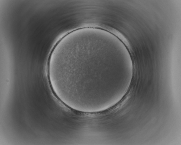 X0000111810958200909031428