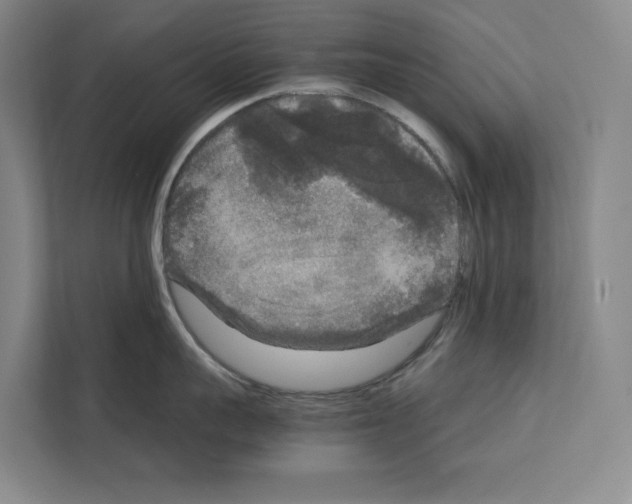 X0000111810959200909031428