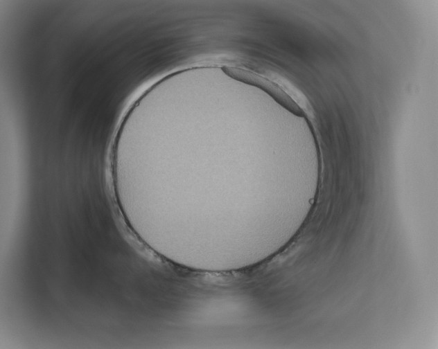 X0000111810960200909031428