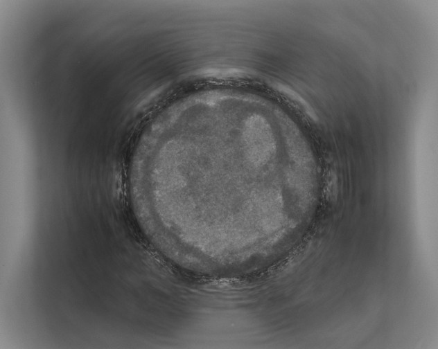 X0000111810966200909031427