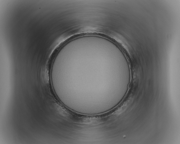 X0000111810973200909031427