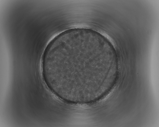 X0000111810983200909031427