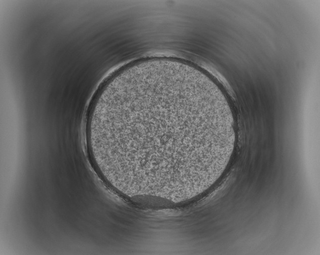 X0000111810984200909031427