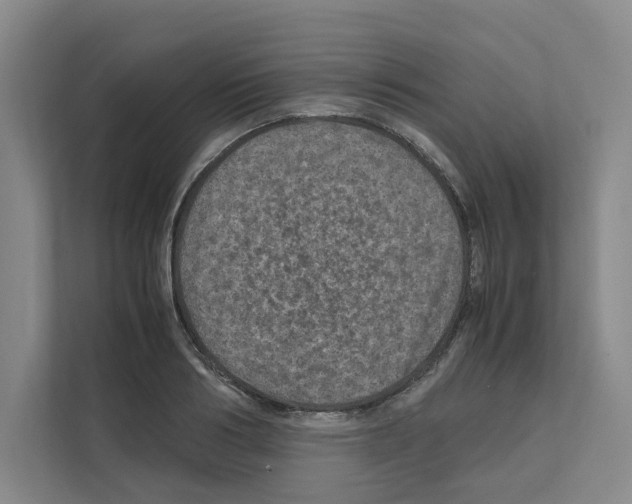 X0000111810986200909031427