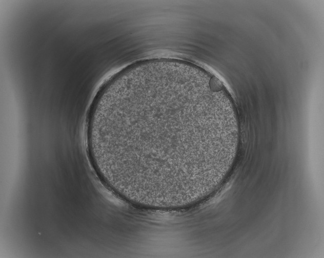 X0000111810987200909031427