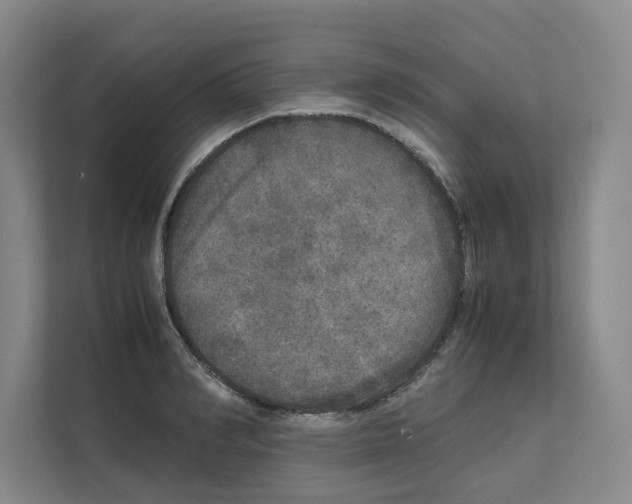 X0000111810990200909031427