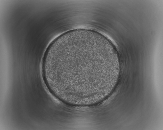 X0000111810991200909031427