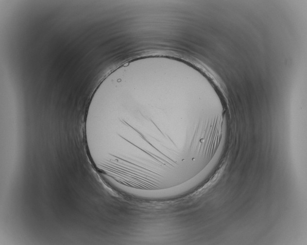 X0000111810993200909031427
