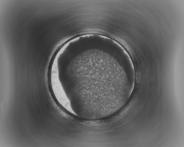 X0000111810995200909031426