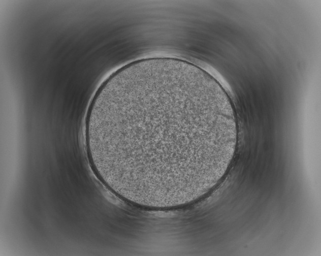 X0000111810996200909031426