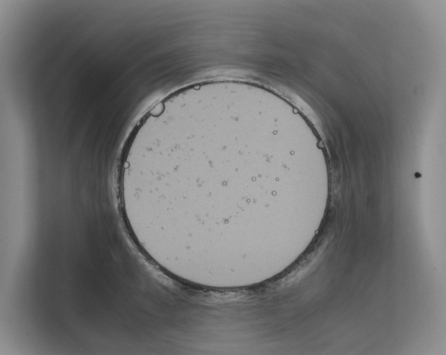 X0000111810997200909031426