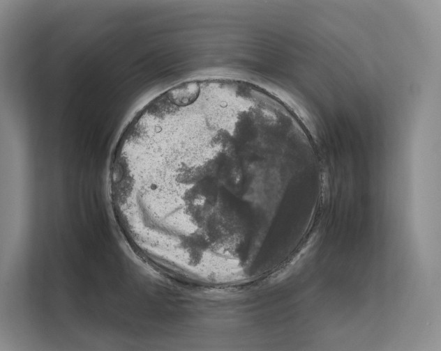 X0000111810998200909031426