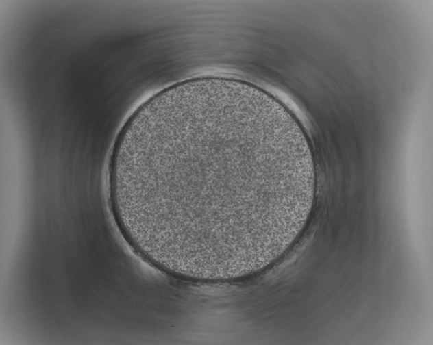 X0000111810999200909031426