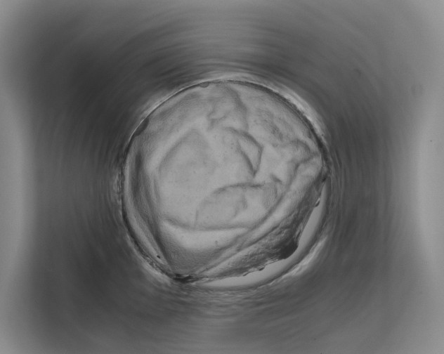 X0000111811001200909031426