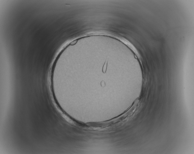 X0000111811005200909031426