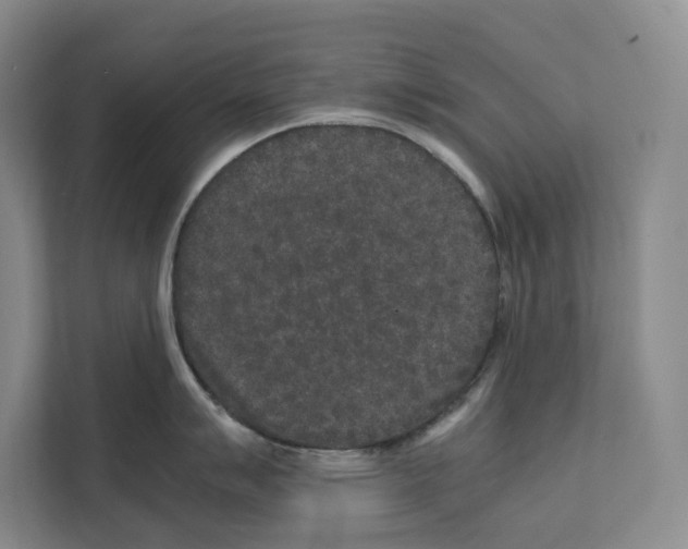 X0000111811007200909031426