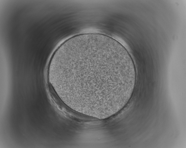 X0000111811008200909031426
