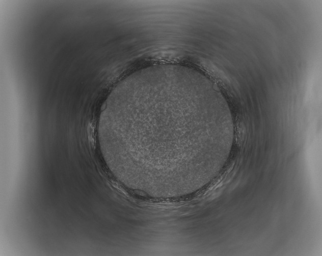 X0000111811010200909031426