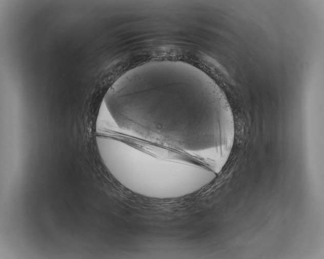X0000111811013200909031426