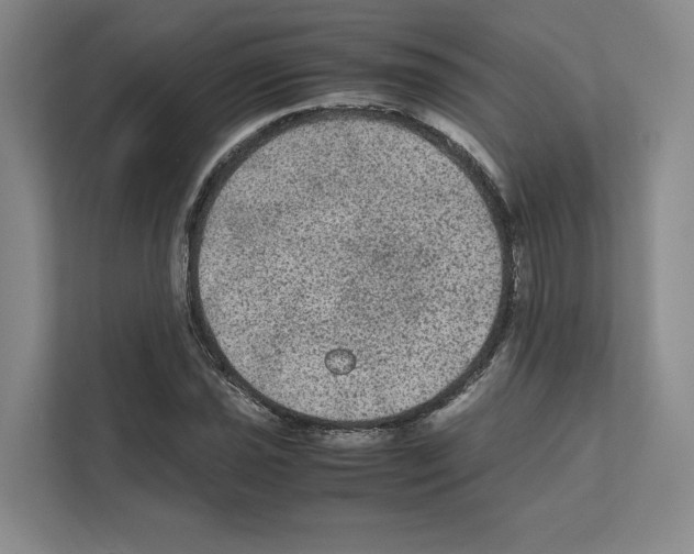X0000111811021200909031426