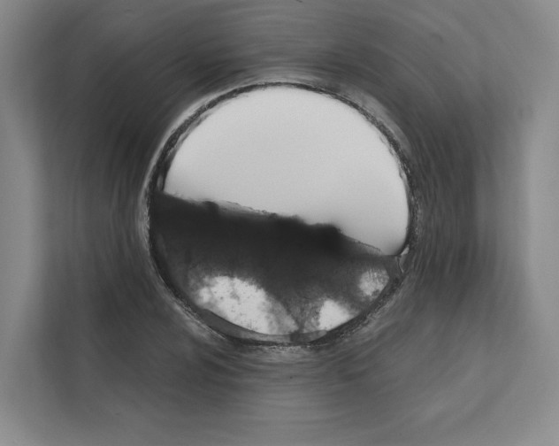 X0000111811024200909031426