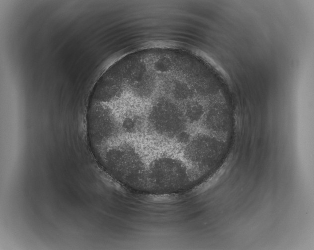 X0000111811025200909031426