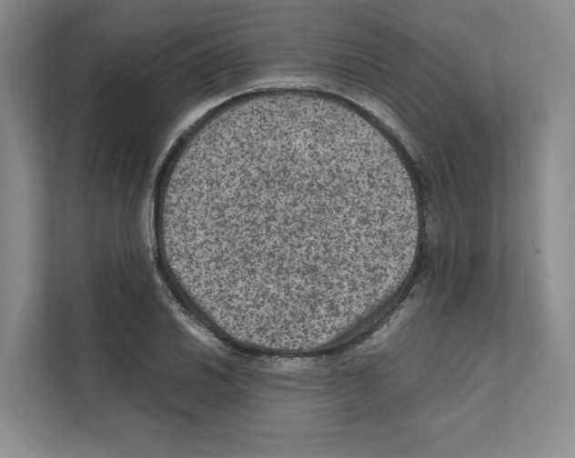 X0000111811030200909031426