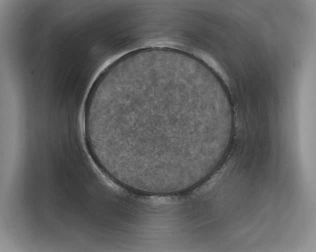 X0000111811032200909031426