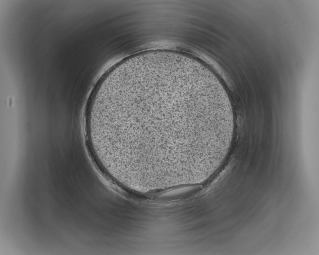X0000111811034200909031426