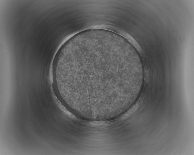 X0000111811036200909031426