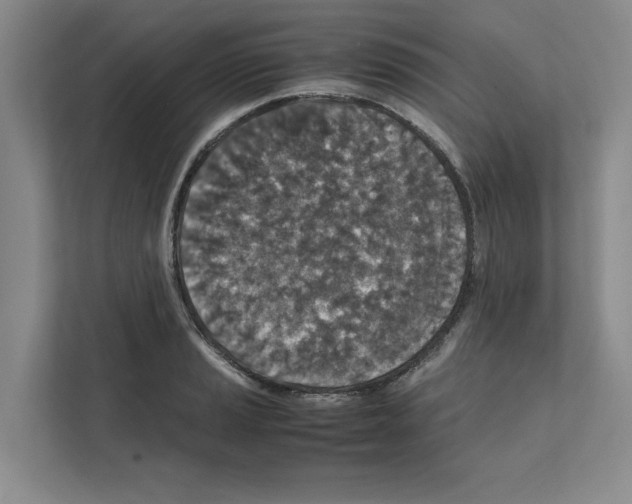 X0000111811037200909031426