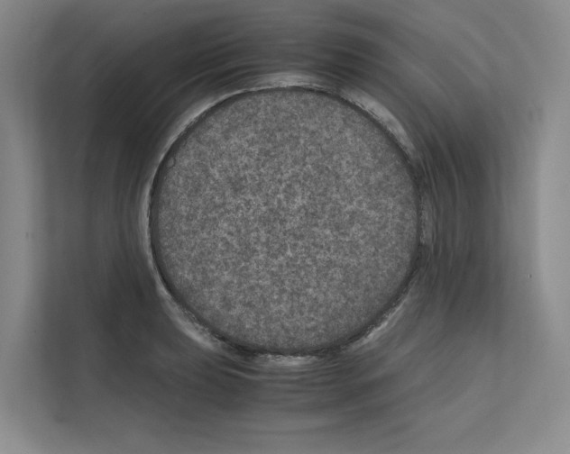 X0000111811039200909031426