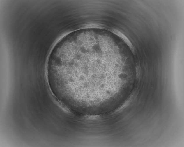 X0000111811043200909031426