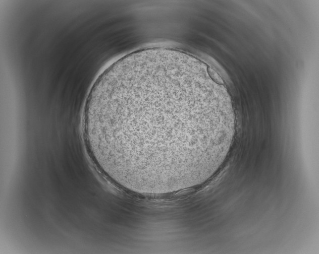 X0000111811044200909031426
