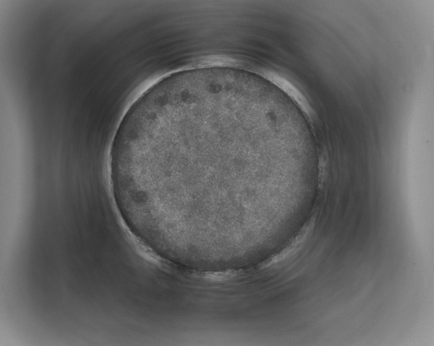 X0000111811047200909031426