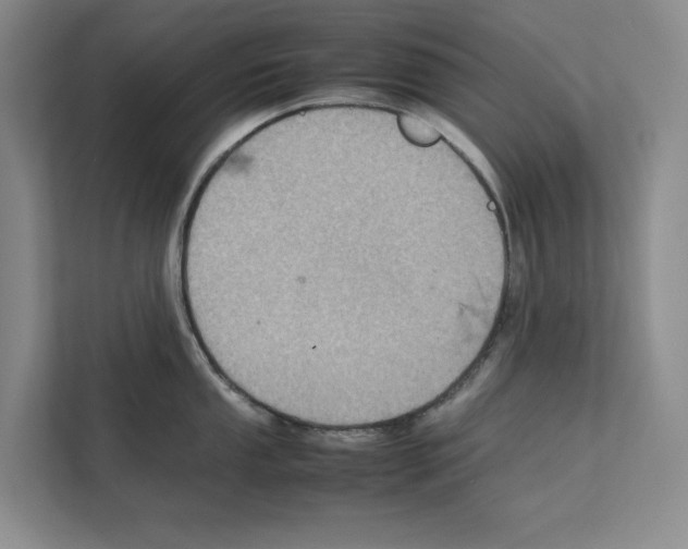 X0000111811053200909031426